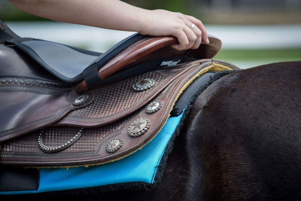 ThinLine Seat Saver