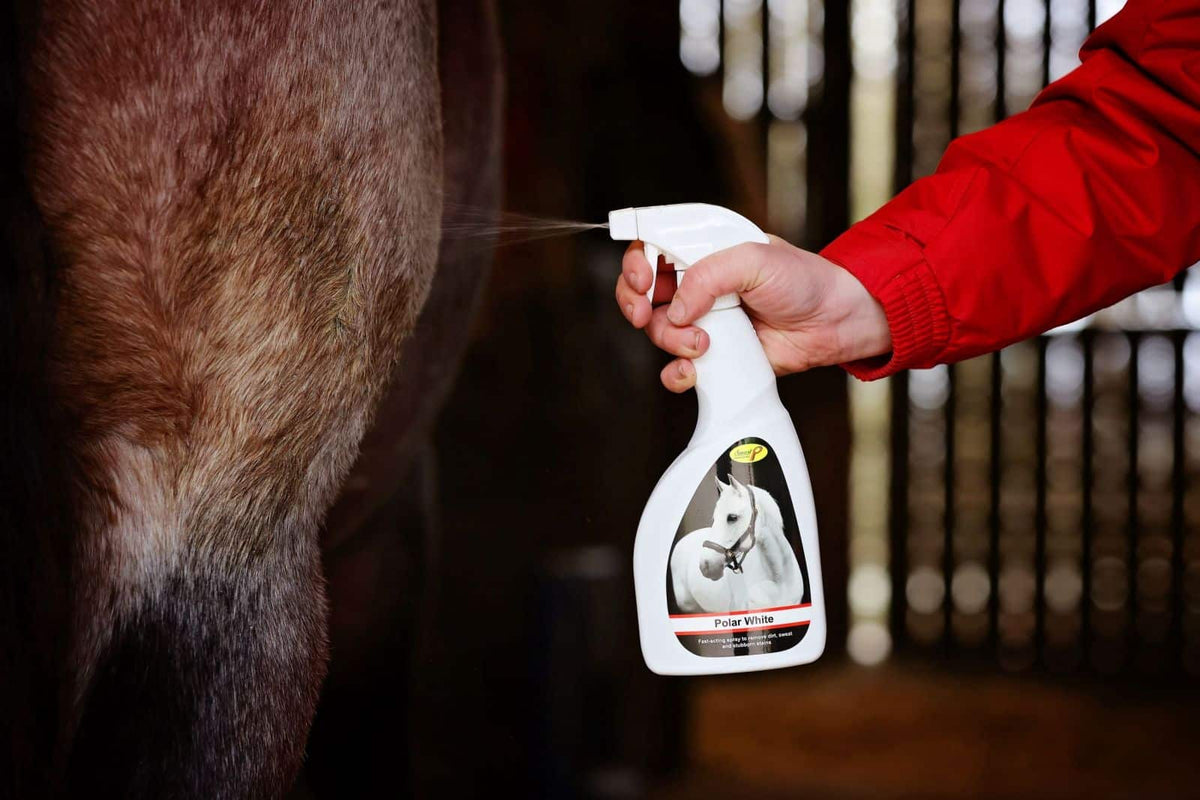 Smart Grooming Polar White Spray
