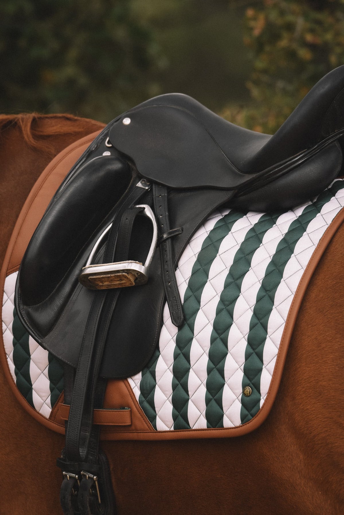 16C Classic Stripe Dressuur Zadeldek