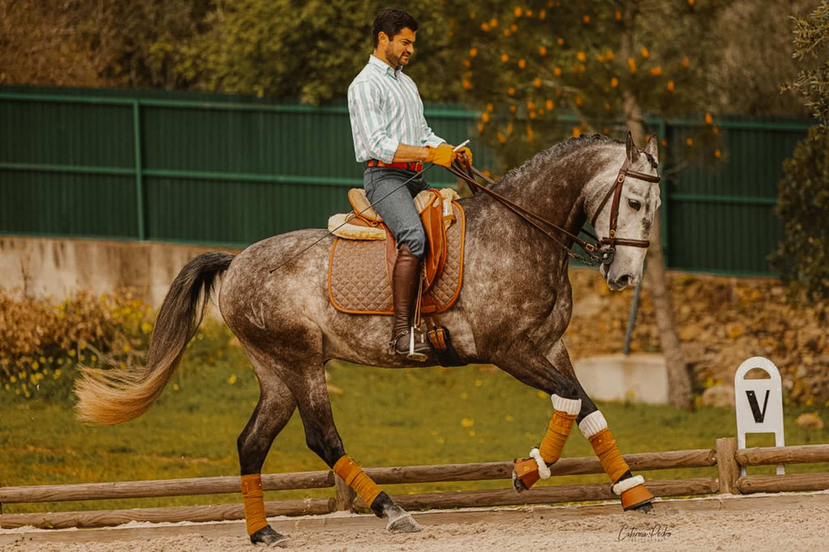 16C Heritage Tweed-look Dressuur Zadeldek