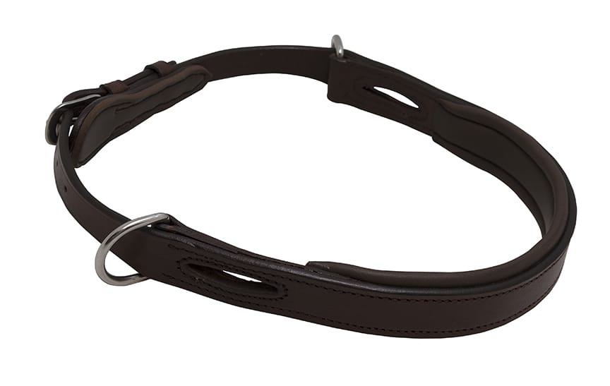 Bitloze Neusriem Hoofdstel Converter