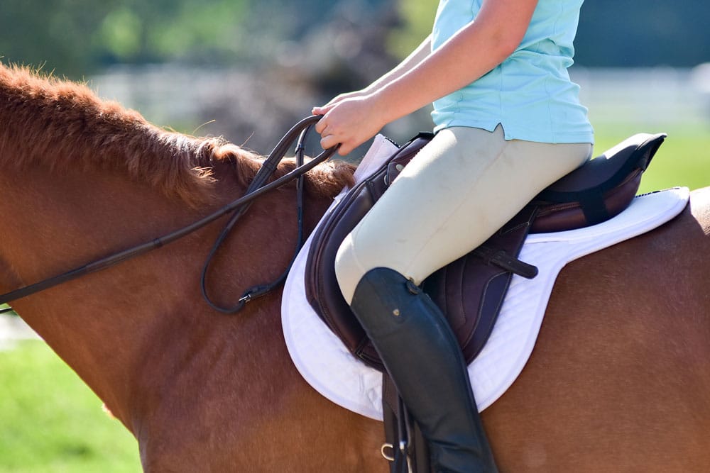 ThinLine Seat Saver