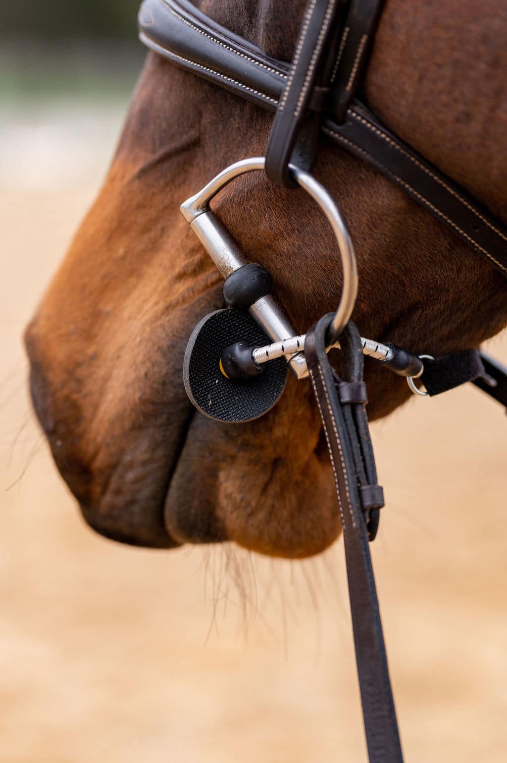ThinLine Busy Buddy ontspanningshulpmiddel dat onrustige paarden kalmeert tijdens verzorging, zonder medicatie