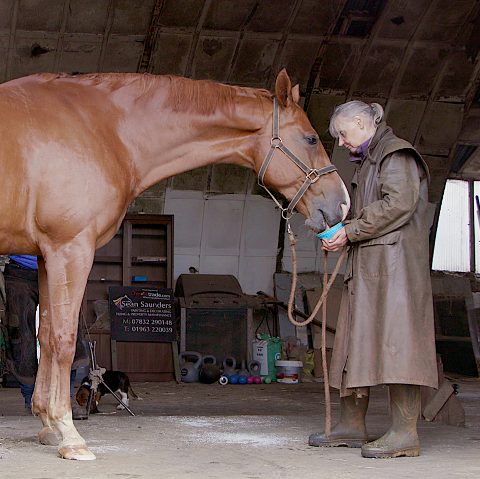 Horslyx Mini Menthe