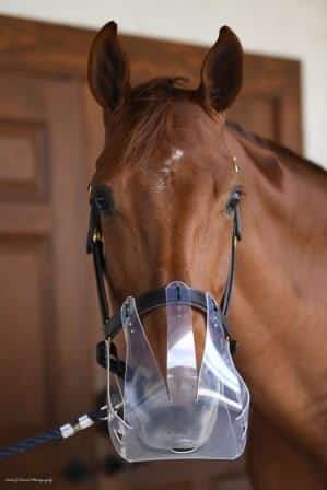 ThinLine Reserve Zip Ties voor Graasmasker