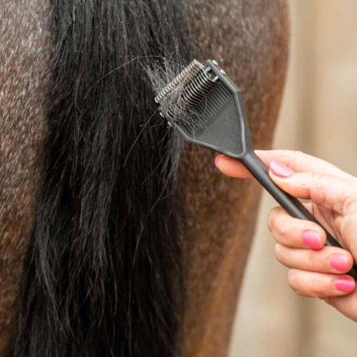 Smart Grooming Smart Tails