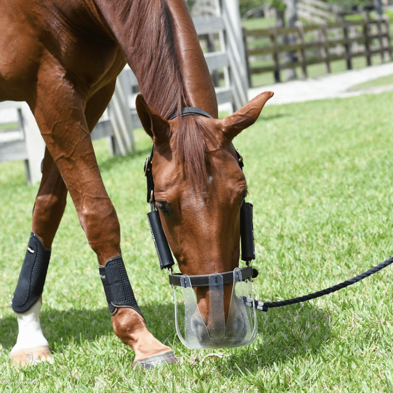 ThinLine Muzzle Starterspakket