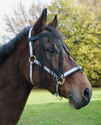 Frontal de mouches Cheval taille : Full Poney