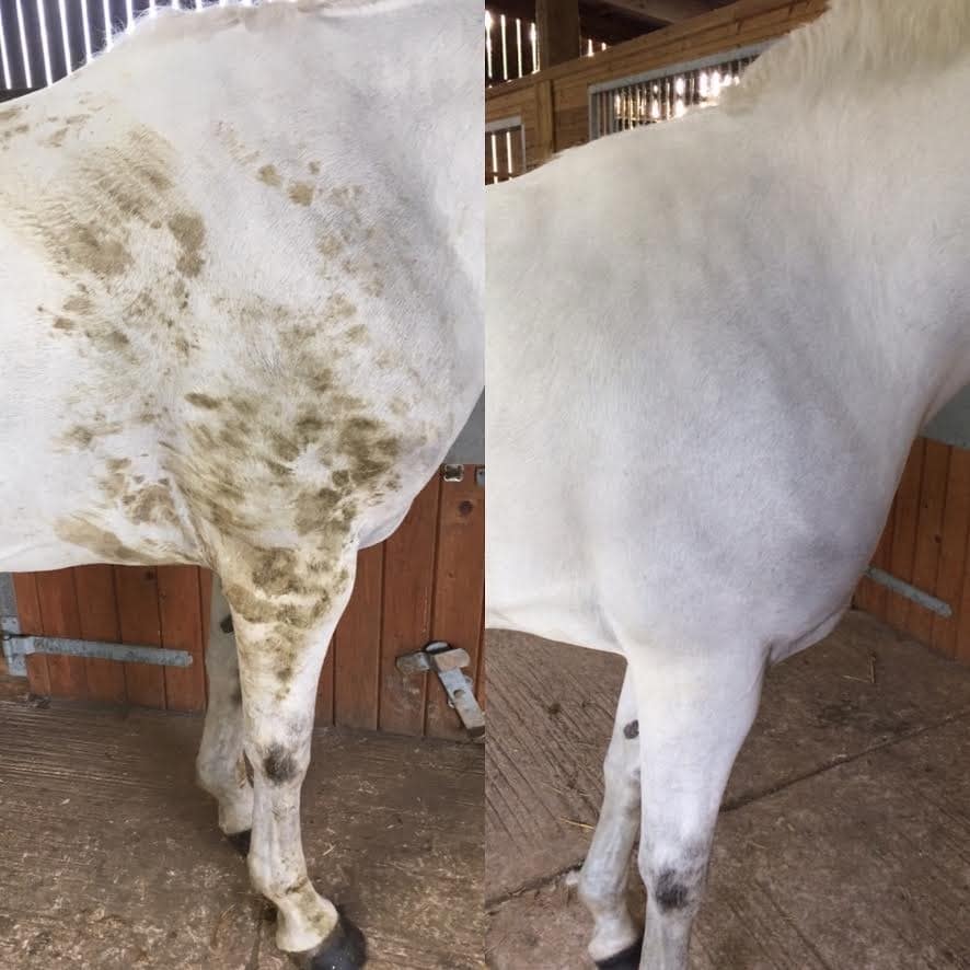 Smart Grooming Polar White Spray