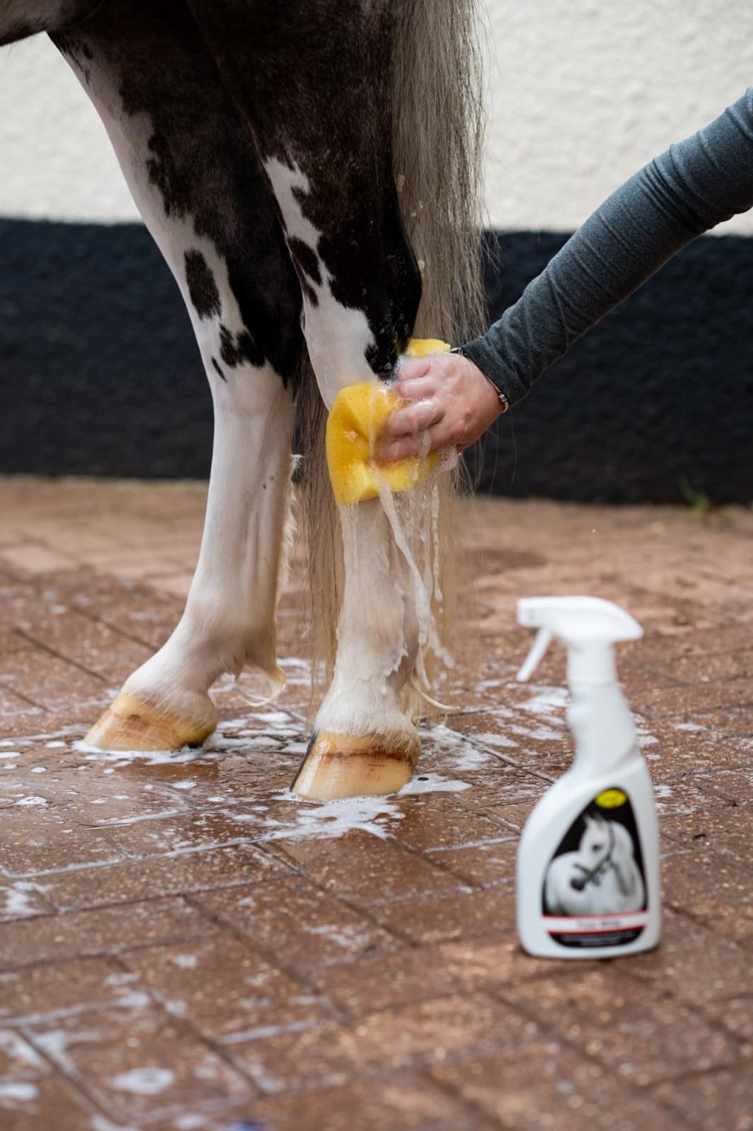 Smart Grooming Polar White Spray