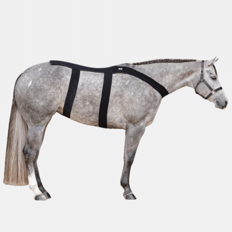 Ice Horse Back Blanket