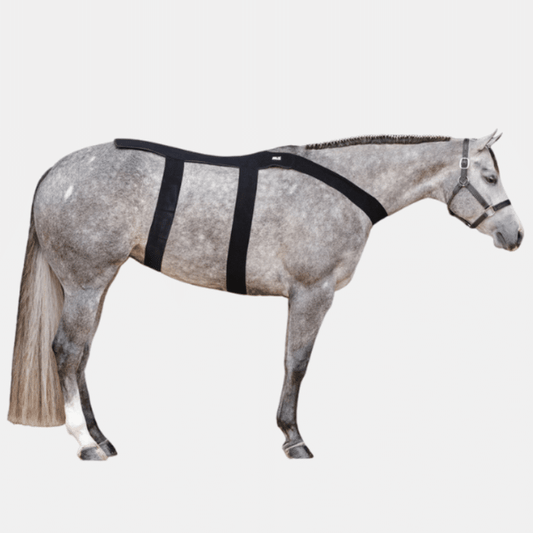 Ice Horse Back Blanket