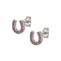 Oorbellen Hoefijzer - Zilver - paars