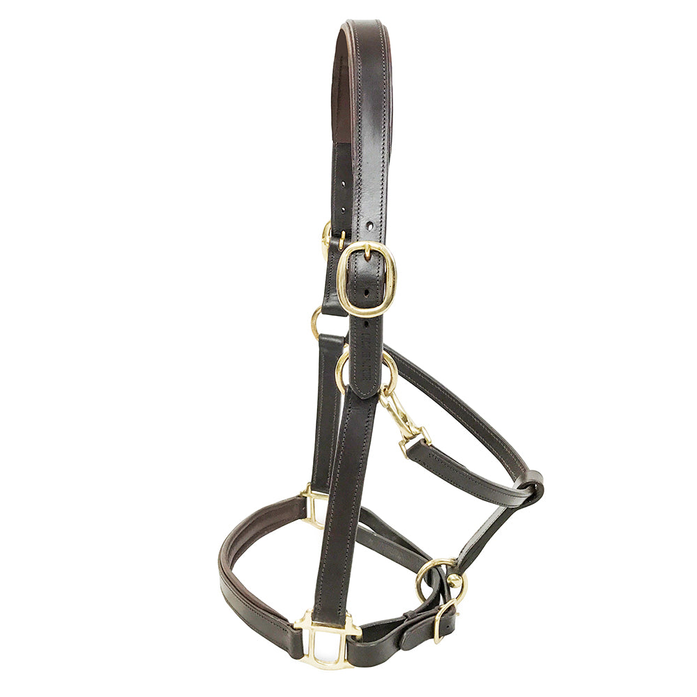 Havannakleurige leren halster met gevulde poll en neusriem voor comfort en messing gespen
