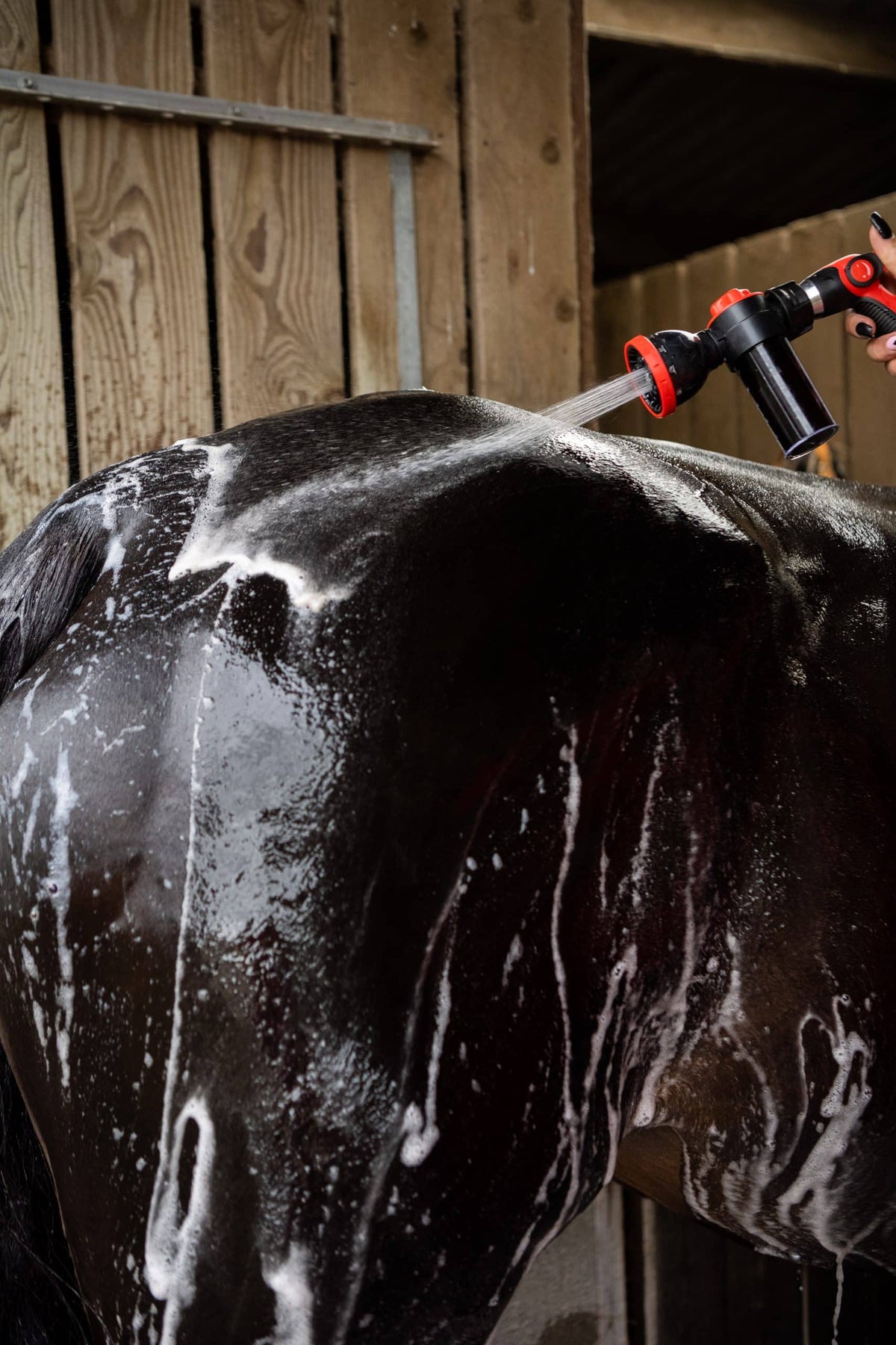 Smart Grooming Ultimate Wash Gun