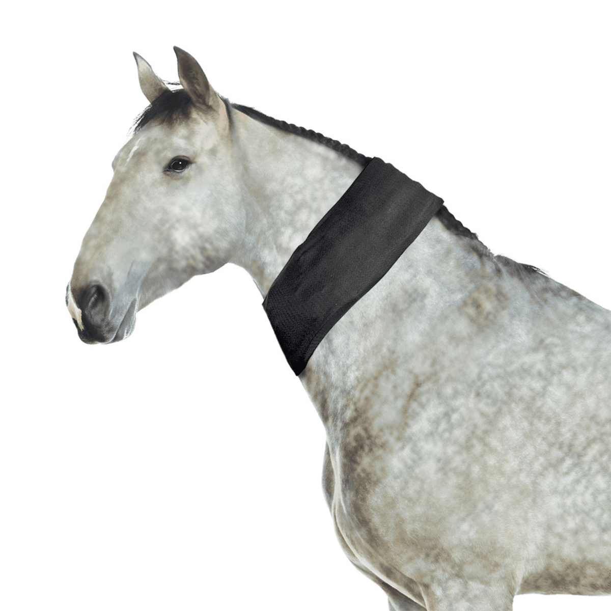 Ice Horse All-Purpose Ice Wrap