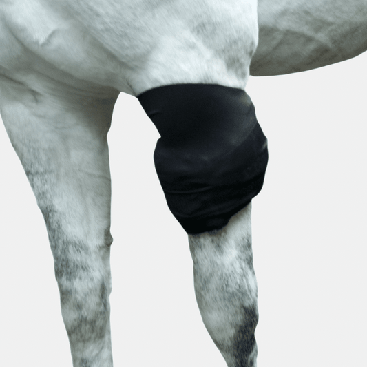Ice Horse All-Purpose Ice Wrap