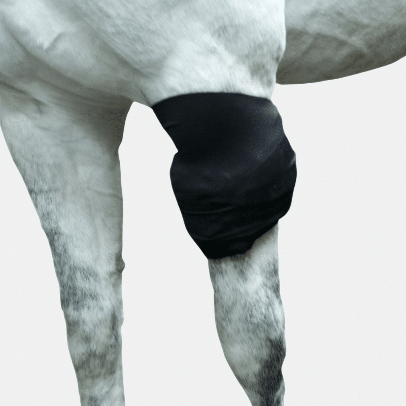 Ice Horse All-Purpose Ice Wrap