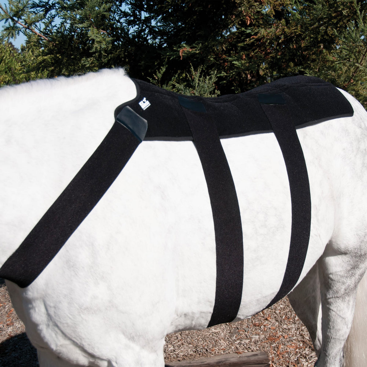 Ice Horse Back Blanket