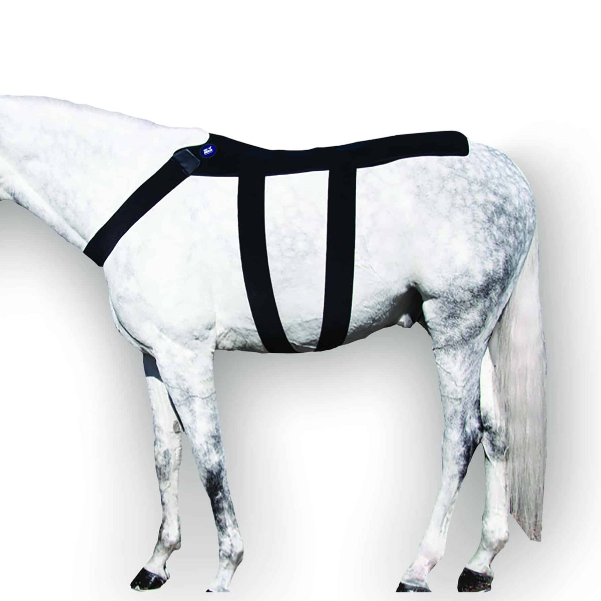 Ice Horse Back Blanket