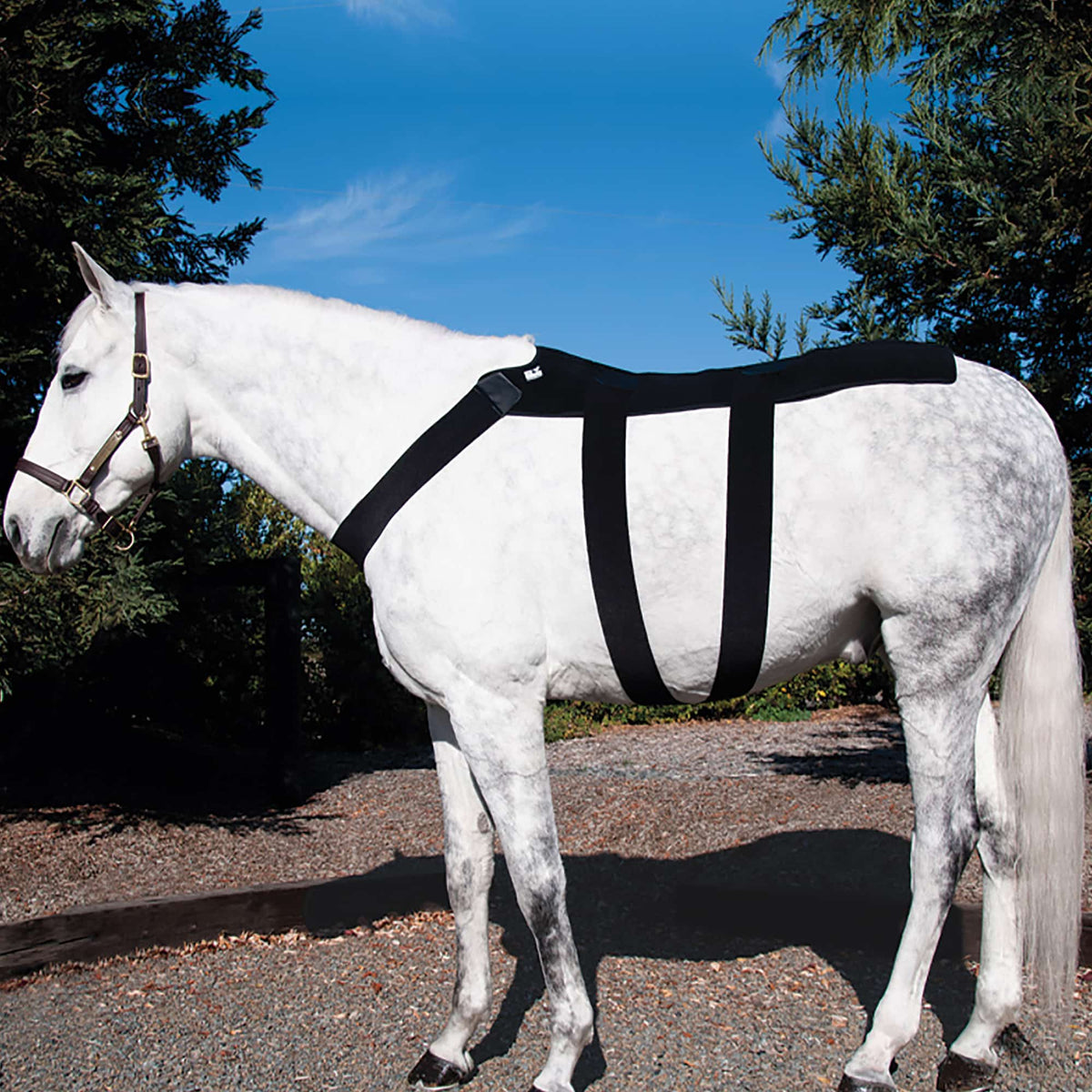Ice Horse Back Blanket