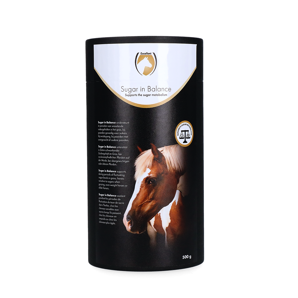 Excellent Horse Sugar in Balance