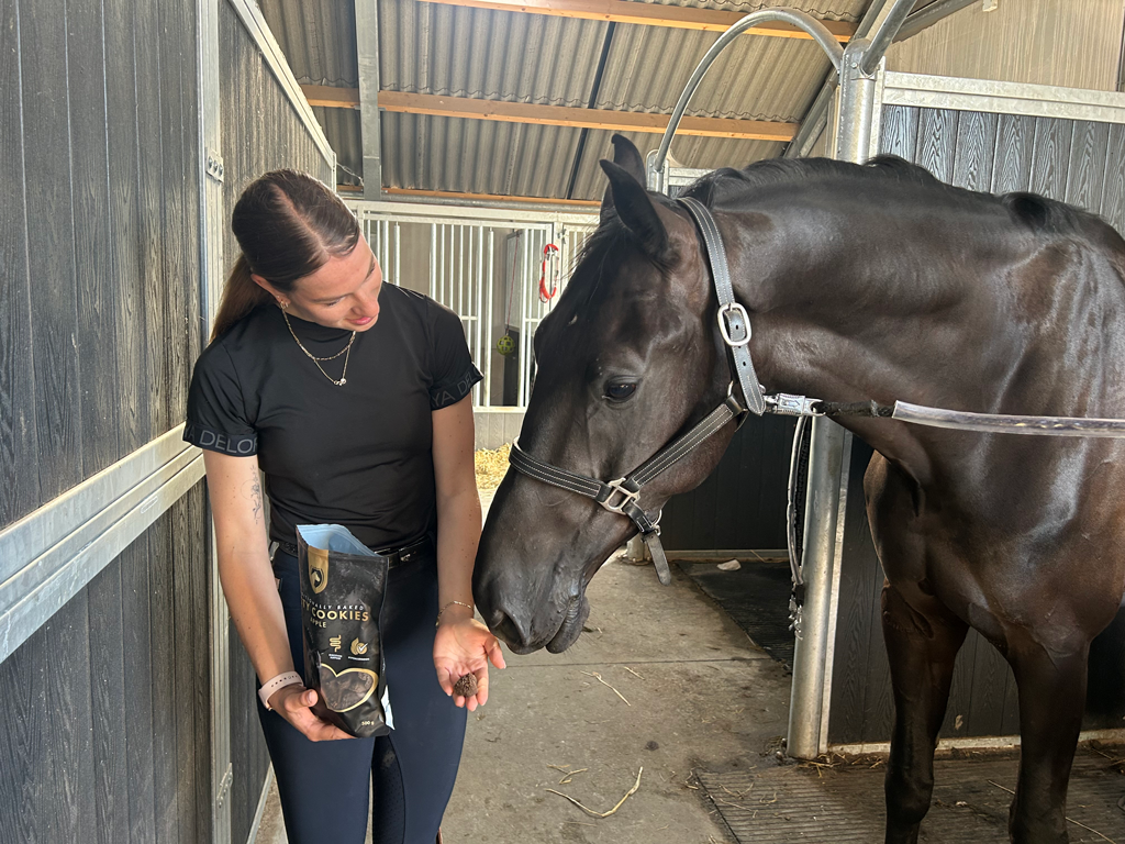 Excellent Horse Ambachtelijke Paardenkoekjes Appel