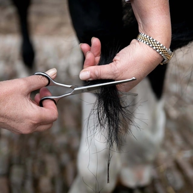 Smart Grooming Rechte Veiligheidsschaar