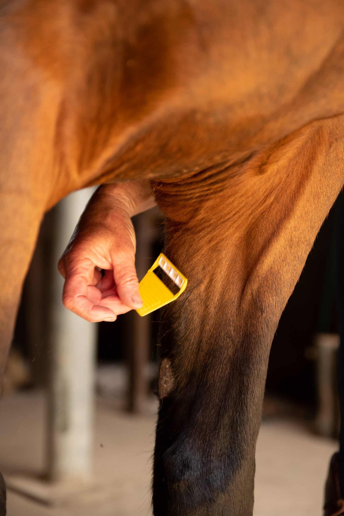 Smart Grooming Equi-Shave Box