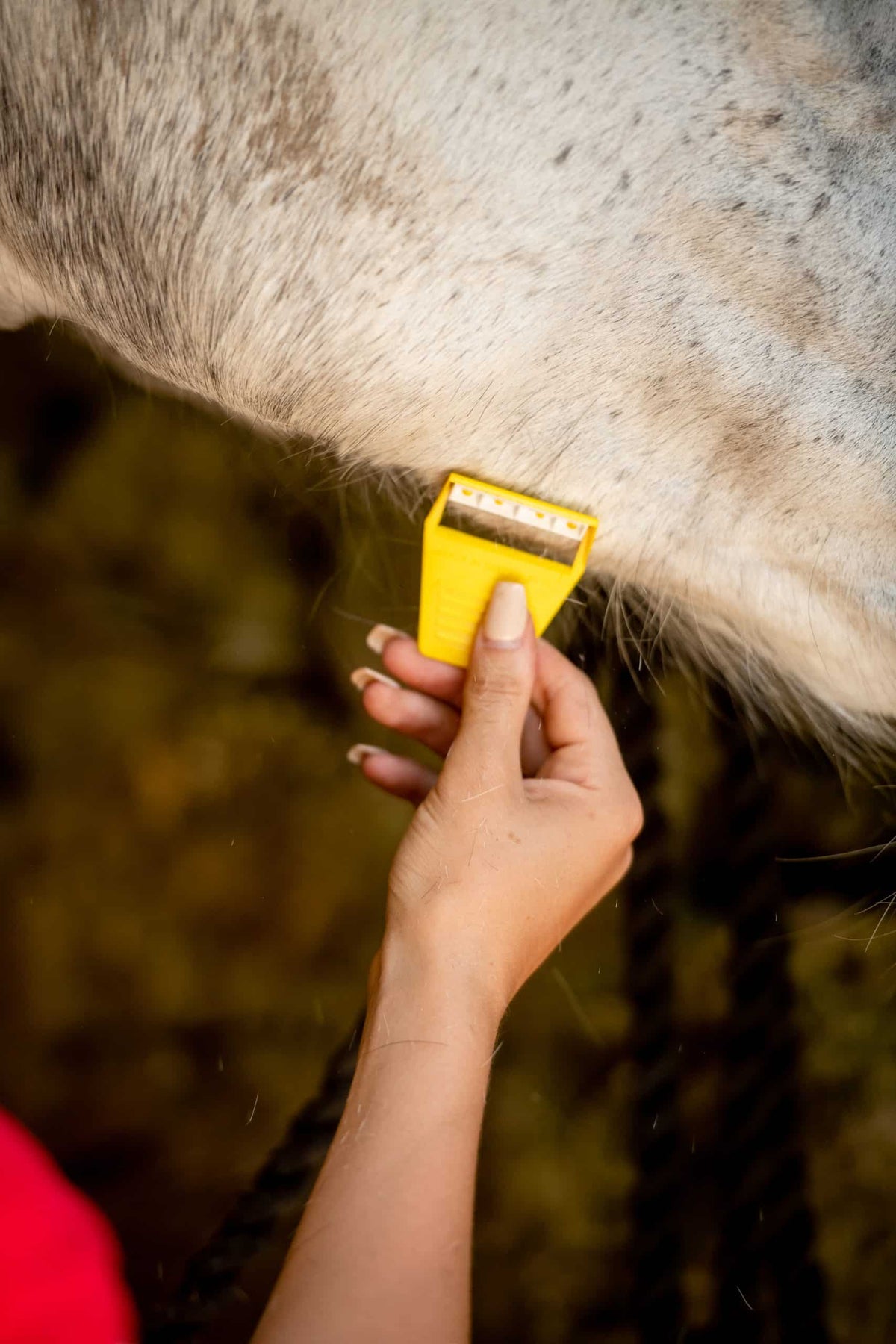 Smart Grooming Equi-Shave Box