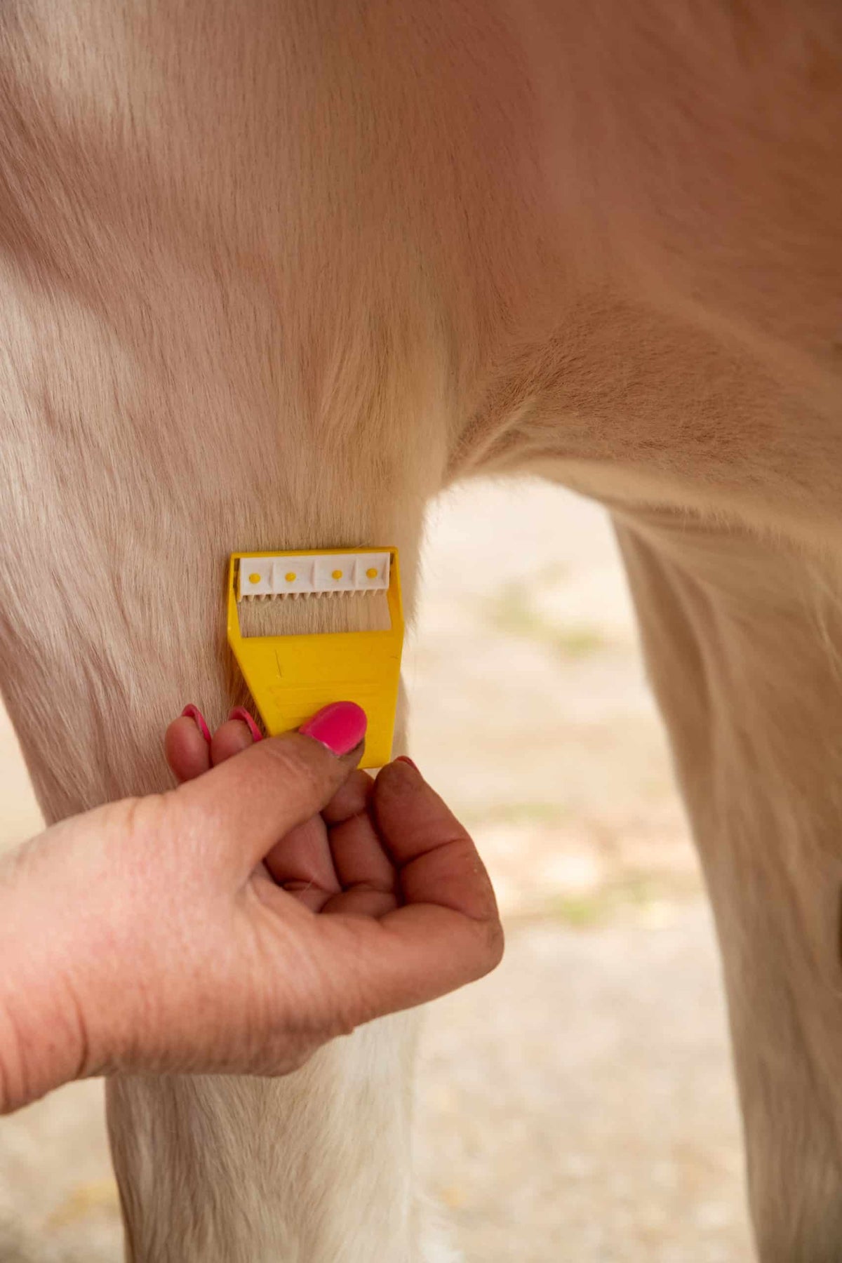 Smart Grooming Equi-Shave Box