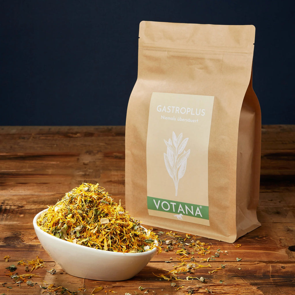 GASTROPLUS - kruiden voor de maag
