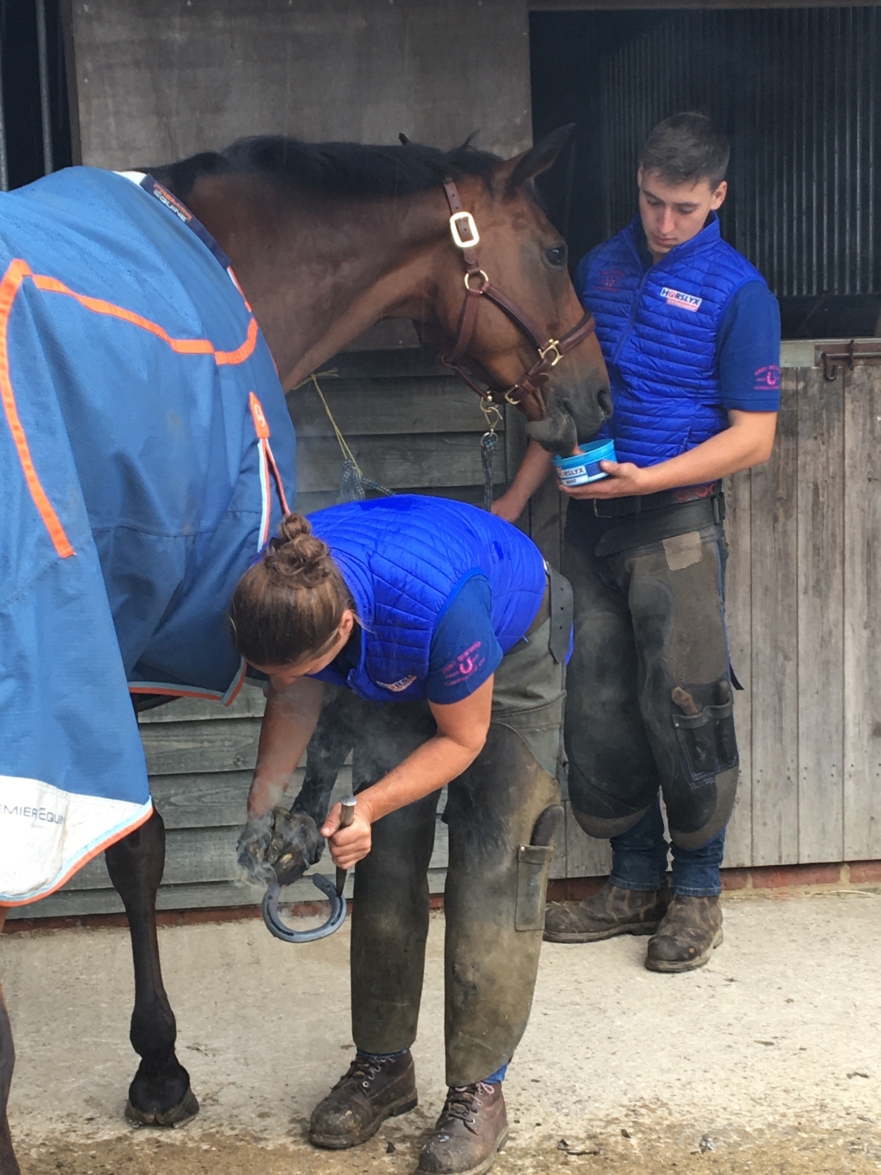 Horslyx Mini Mobiliteit