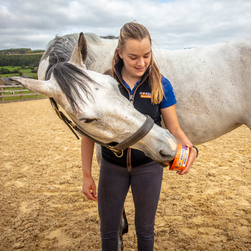 Horslyx Mini Mobiliteit