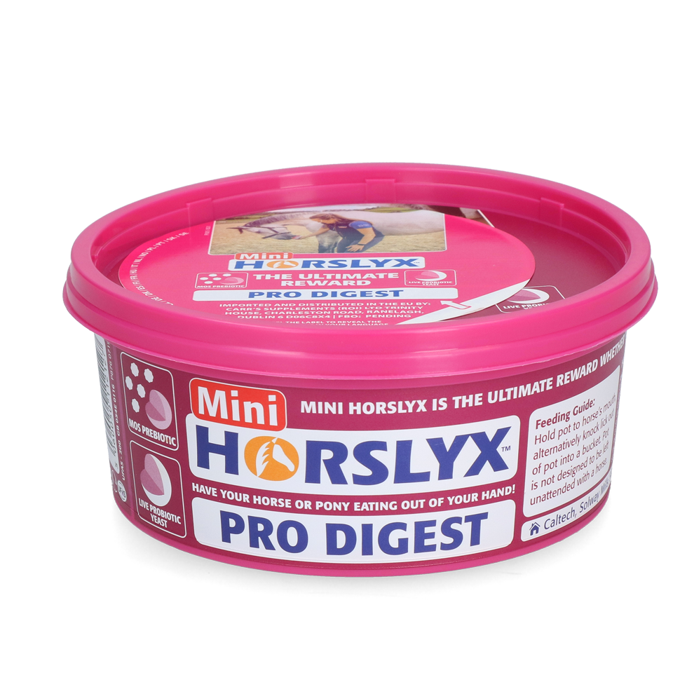 Horslyx Mini Digestion