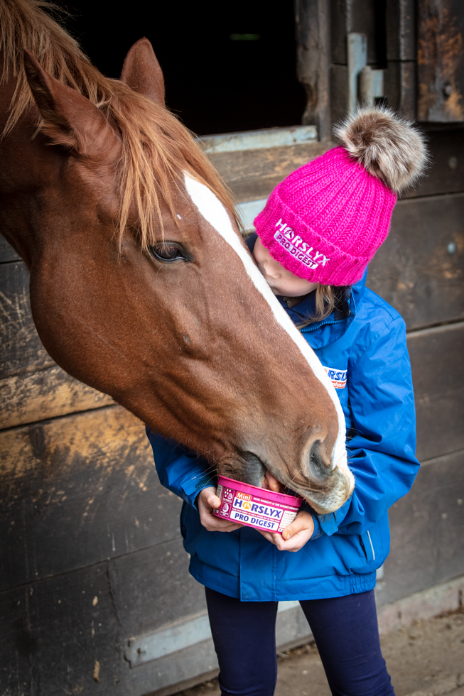 Horslyx Mini Spijsvertering