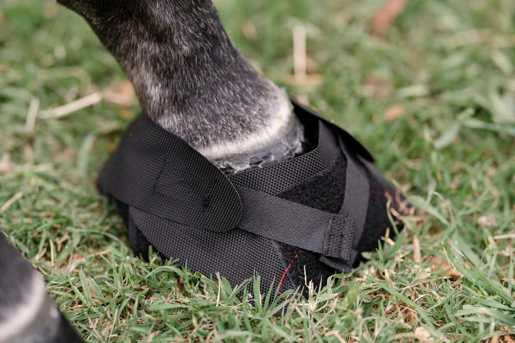 Ice Horse Hoof Wraps Bandage