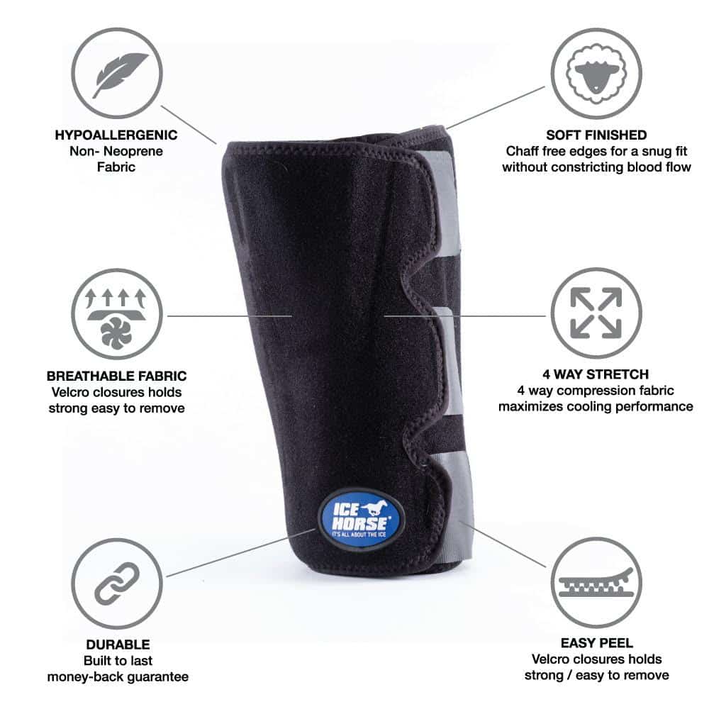 Ice Horse Hock Wrap