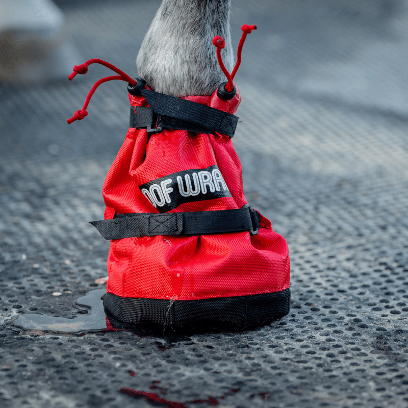 Ice Horse Hoof Wraps Soaker