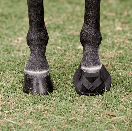 Ice Horse Hoof Wraps Bandage
