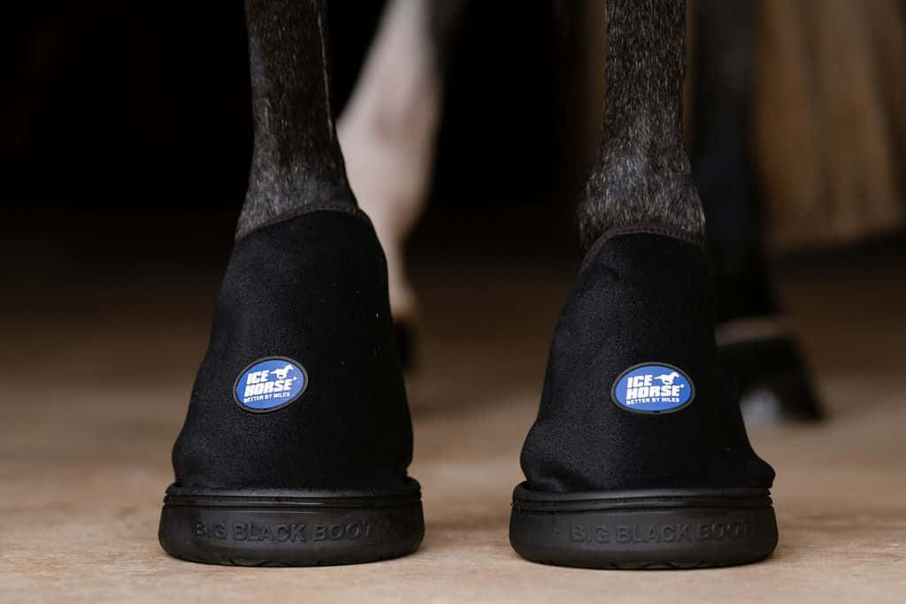 Ice Horse Hoof Ice Boots