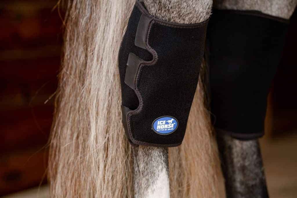 Ice Horse Hock Wrap