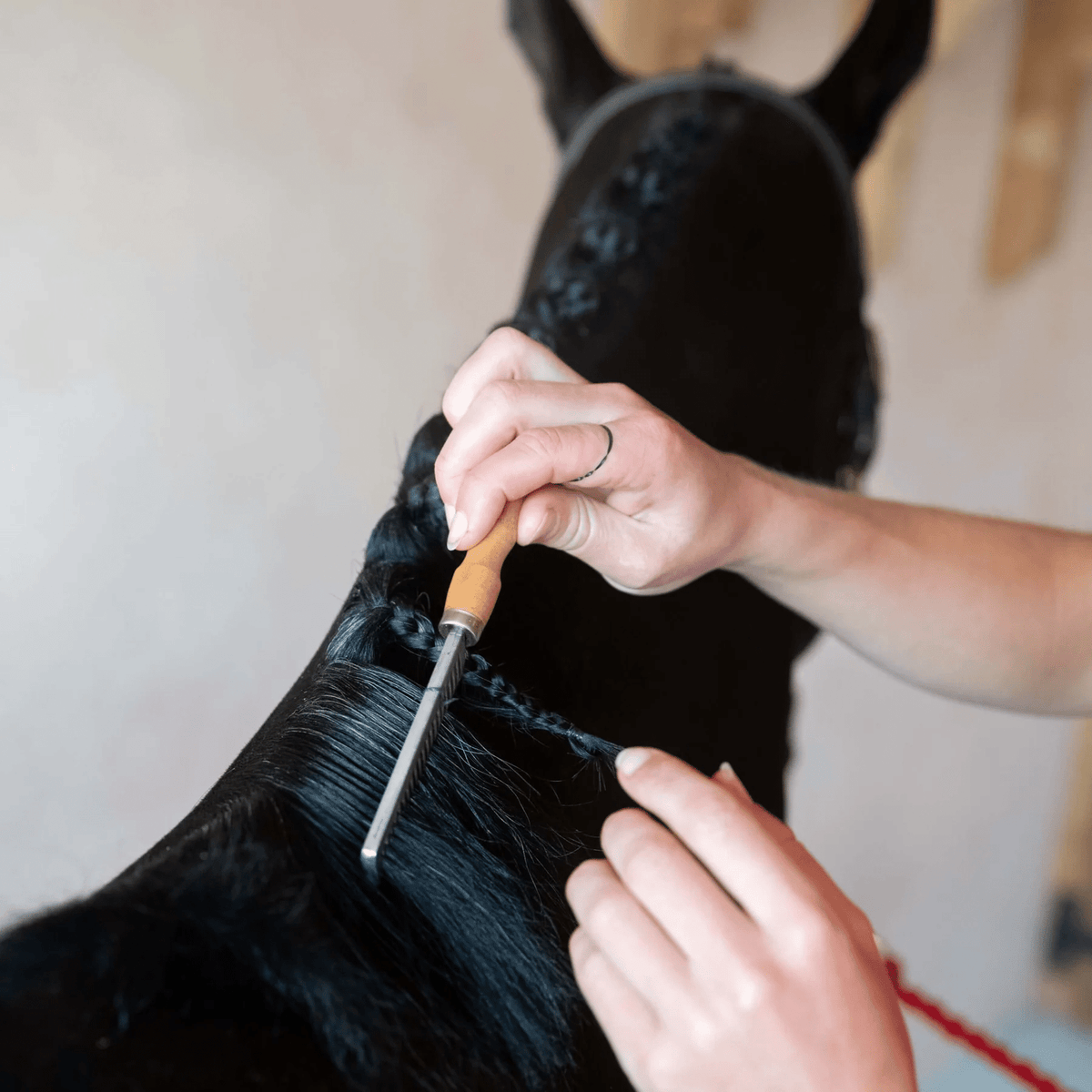 Smart Grooming Manenkam