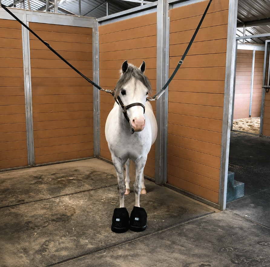Ice Horse Hoof Ice Boots