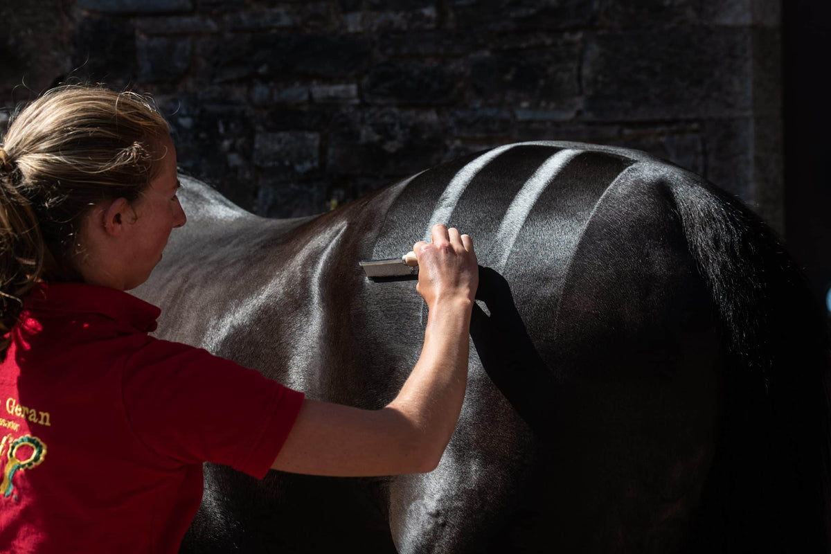 Smart Grooming Quarter Marking Gel