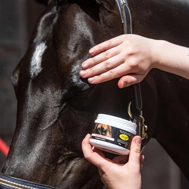 Smart Grooming Accentueer Finishing Gloss