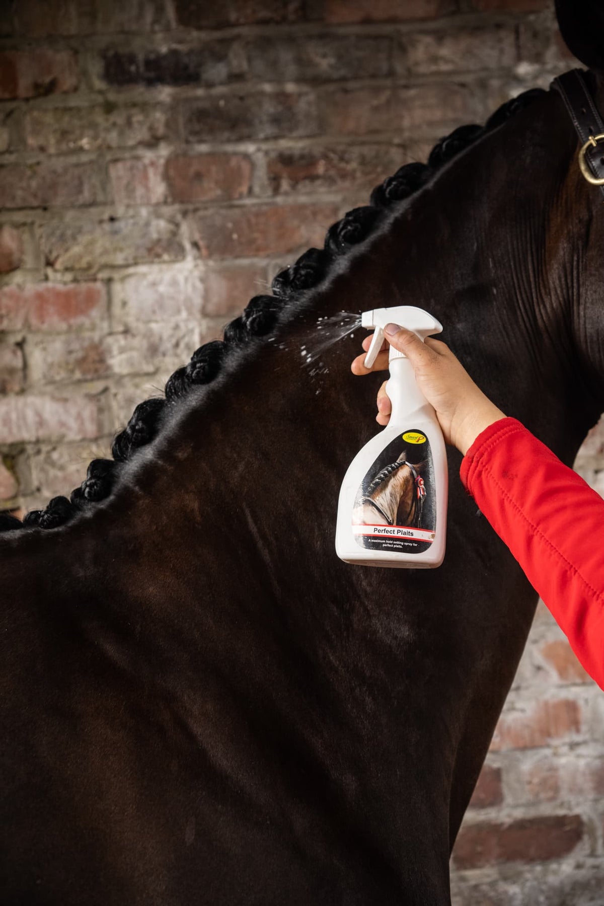 Fixatiespray van 500 ml die vlechten na het invlechten vastzet met een natuurlijke glans