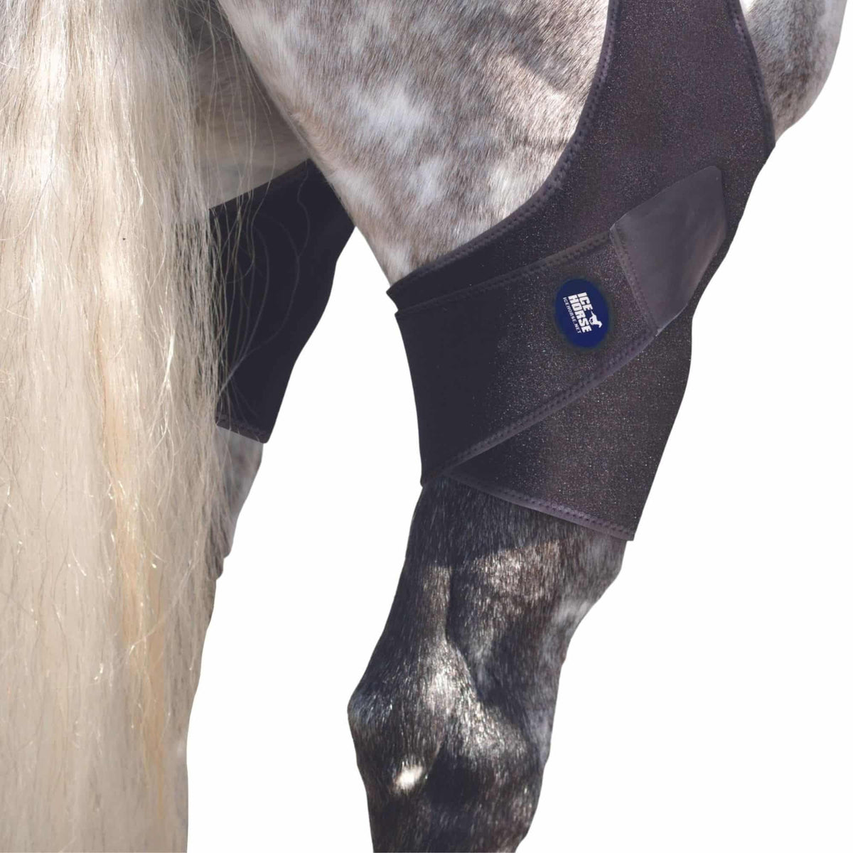 Ice Horse Stifle Wraps