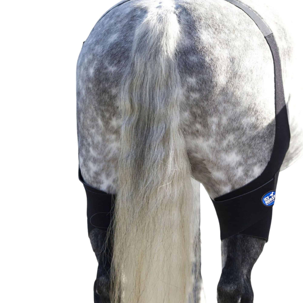 Ice Horse Stifle Wraps
