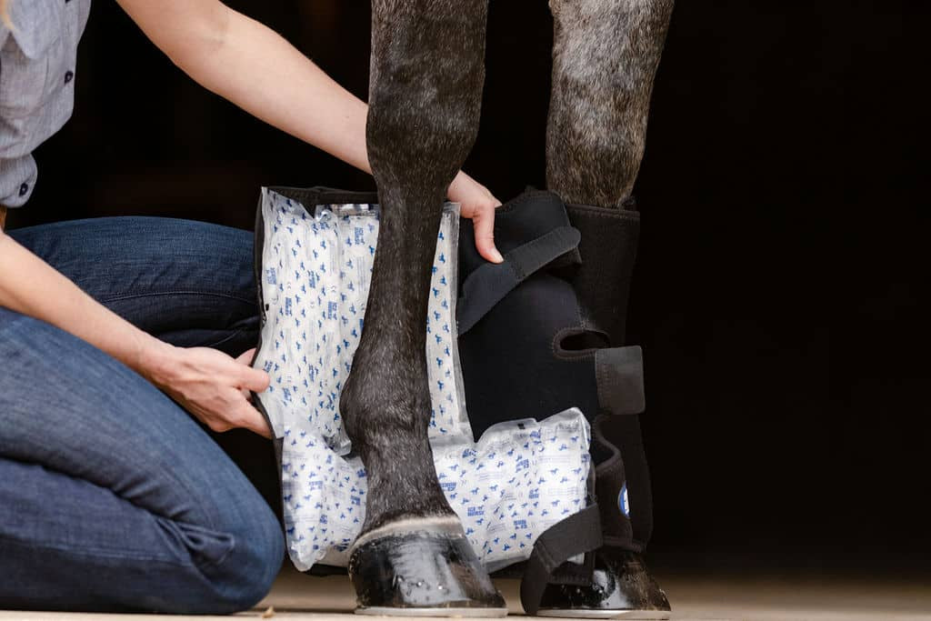 Ice Horse Suspensory/Full Tendon Wrap